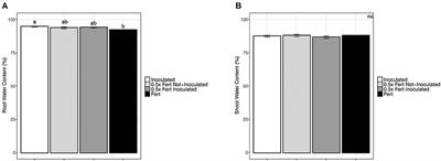 Bioinoculants as Promising Complement of <mark class="highlighted">Chemical Fertilizers</mark> for a More Sustainable Agricultural Practice